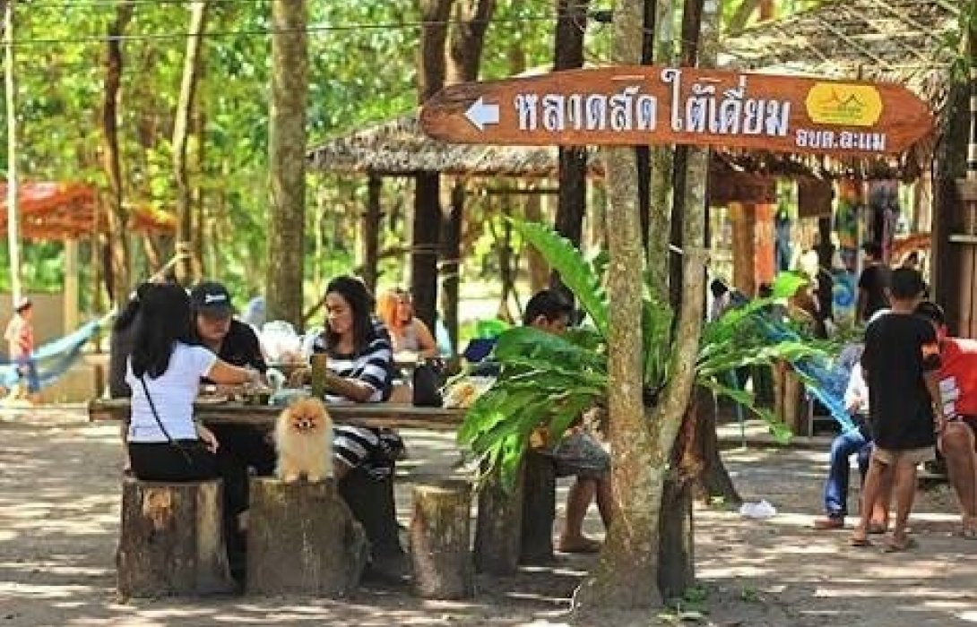 ตลาดใต้เคี่ยม จ.ชุมพร