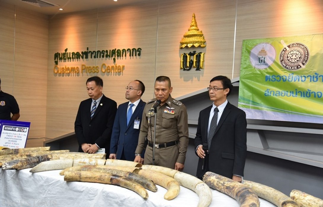 “เฉลิมเกียรติ” นำทีมแถลงผลการตรวจยึดงาช้าง 31 ท่อน 148 กก.มูลค่ากว่า 15 ล้านบาท