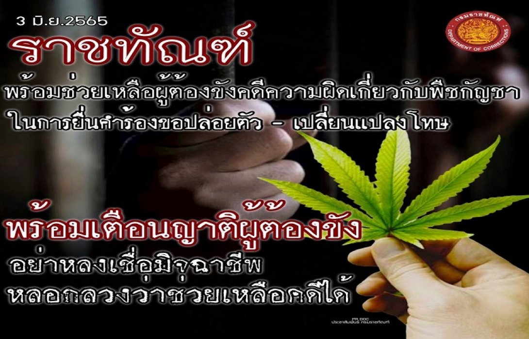 “ราชทัณฑ์” พร้อมช่วยผู้ต้องขังคดี “พืชกัญชา” ยื่นขอปล่อยตัว-เปลี่ยนโทษ