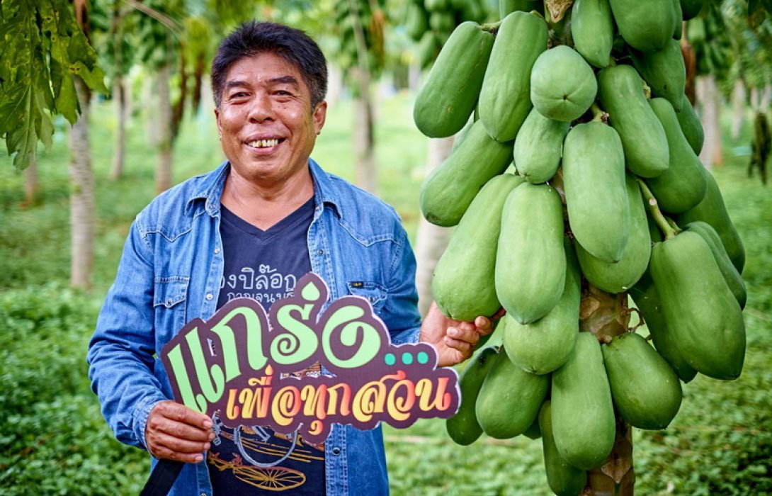 คอลัมน์โฟกัสเกษตร :  เกษตรกรยุคใหม่ โจทย์ใหญ่หัวใจต้อง“แกร่ง”