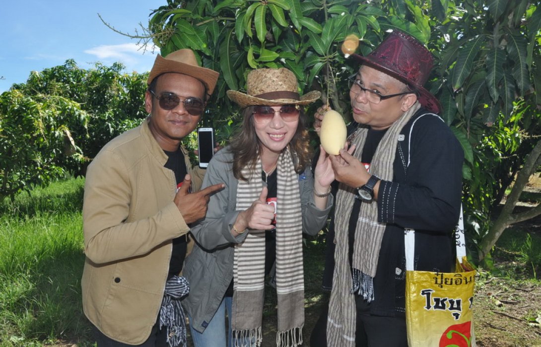  “สวนมะม่วงน้ำดอกไม้สีทอง” การันตรี ลองใช้ “ปุ๋ยอินทรีย์” ดอกผลดี มีรายได้งาม 