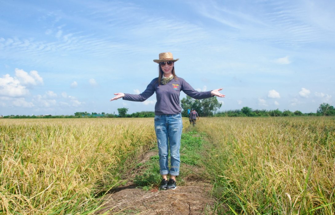 “ปลูกข้าวหอมมะลิ” ด้วยปุ๋ยอินทรีย์ ไร้สารเคมี  ทานดี สุขภาพแข็งแรง  