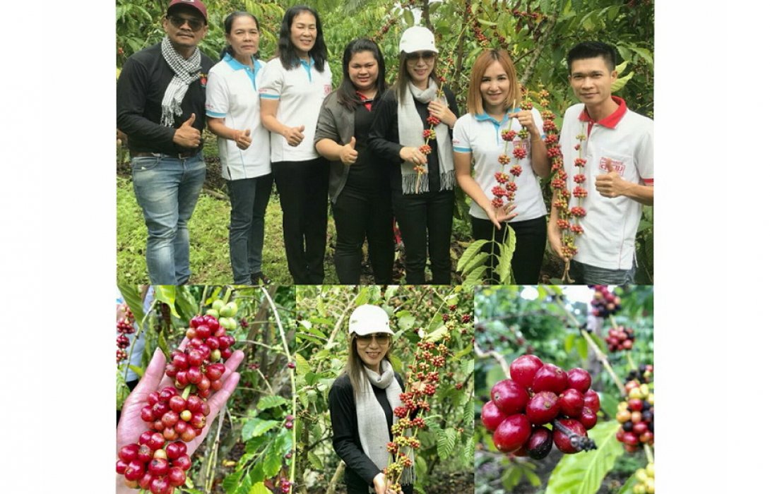 “ไร่กาแฟ โรบัสต้า” แนะลองใช้ปุ๋ยอินทรีย์...คุณภาพดีตอบโจทย์ได้จริง