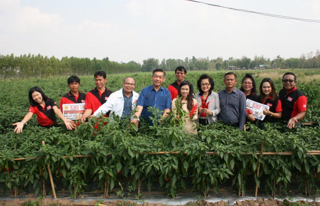 สวนพริกพันธุ์ 