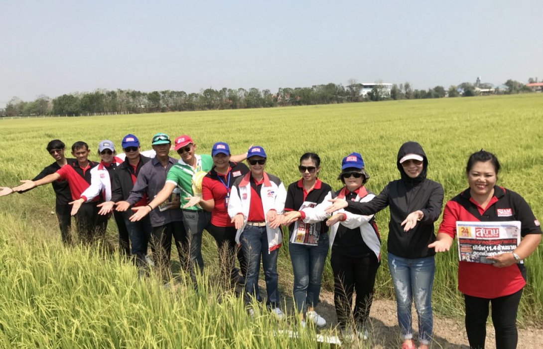 เหล่าชาวนา จ. พิษณุโลก การันตรี “ปุ๋ยอินทรีย์”  ปลูกข้าวดี ไร่สารเคมี กินแล้วสุขภาพแข็งแรง