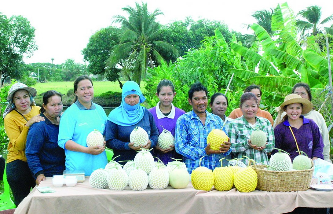 วิถีเกษตร “กรุงเก่า” จากท้องนาสู่ตลาดอียู