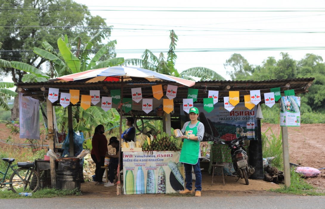 “ศรแดง” ประกวดแผงข้าวโพด ชิงเงินแสนกระตุ้นยอดปลายปี