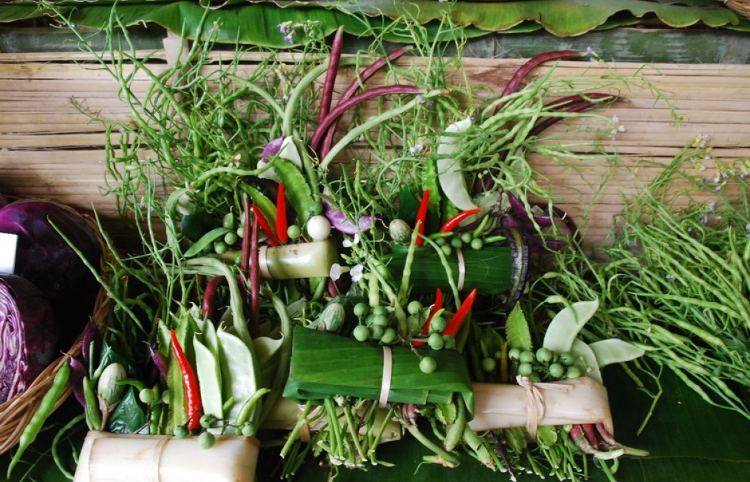 เกษตรอินทรีย์ (มาแรง) แน่ ... เปิดทางน้ำหมักแทนสารเคมี