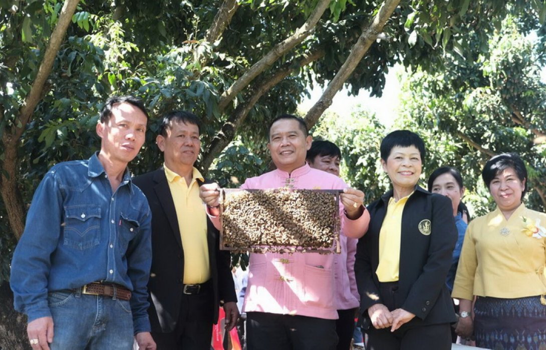 หนุนผสมเกสรลำไย เลี้ยงผึ้งเสริมรายได้