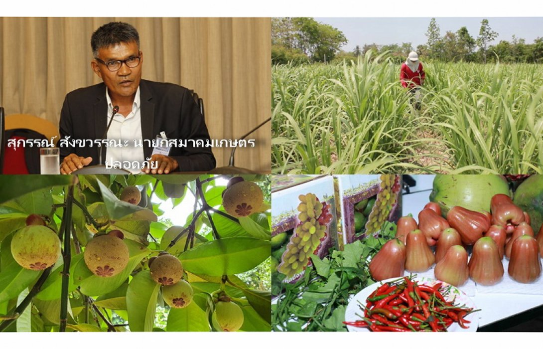“สมาคมเกษตรฯ” เผยผิดหวัง คกก. วัตถุอันตราย และกรมวิชาการเกษตร แบนสารเคมีเกษตร ทิ้งภาระให้เกษตรกร