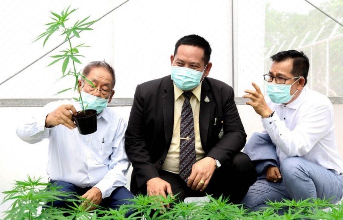 มทร.อีสานจับมือมทส. พัฒนา“กัญชง-กัญชา”