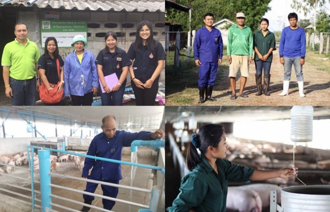 คอนแทร็คฟาร์มมิ่ง 'ซีพีเอฟ' หนุนเกษตรกรมีคุณภาพชีวิตรายได้และเศรษฐกิจ-สังคม-สิ่งแวดล้อมยั่งยืน