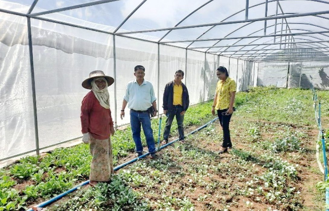 นิคมสหกรณ์เกษตรอินทรีย์ ผลิตพืชผักปลอดภัยป้อนตลาด