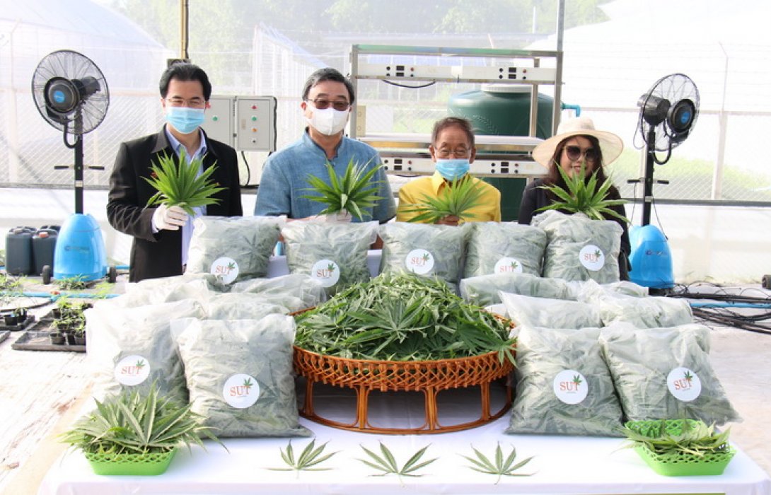 เก็บเกี่ยว 