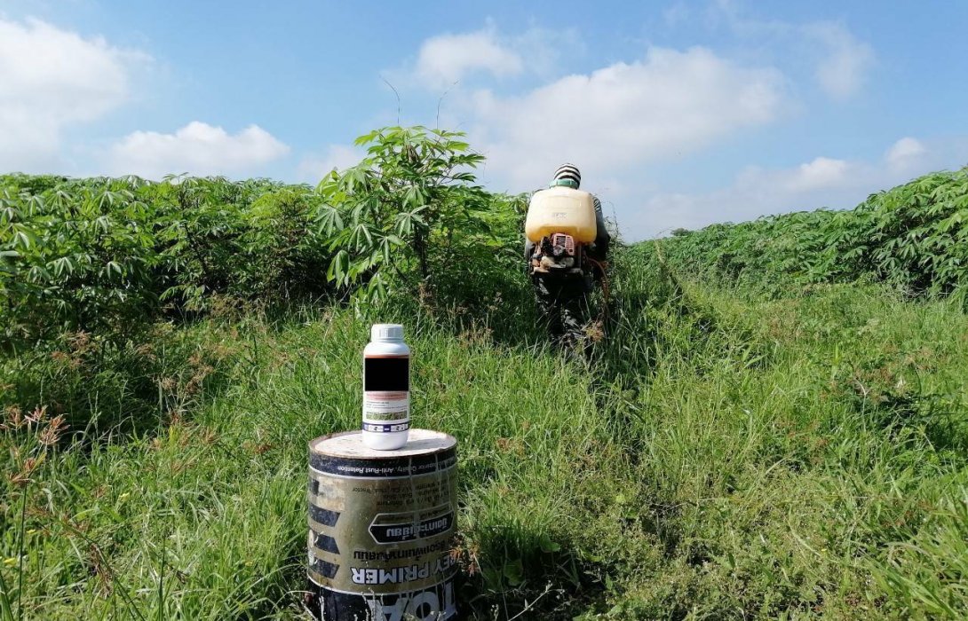 “สมาพันธ์เกษตรปลอดภัย” รับการร้องเรียนจากกลุ่มเกษตรกร 7 พืชเศรษฐกิจ ได้รับผลกระทบจากการใช้กลูโฟซิเนต