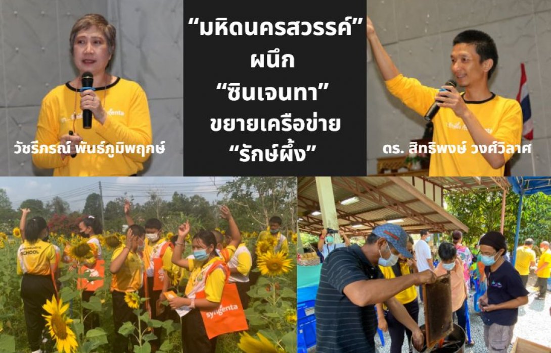 “มหิดลนครสวรรค์” ผนึก “ซินเจนทา” ขยายเครือข่าย “รักษ์ผึ้ง” ภาคกลางและตะวันออก สร้างความหลากหลายทางชีวภาพอย่างยั่งยืน