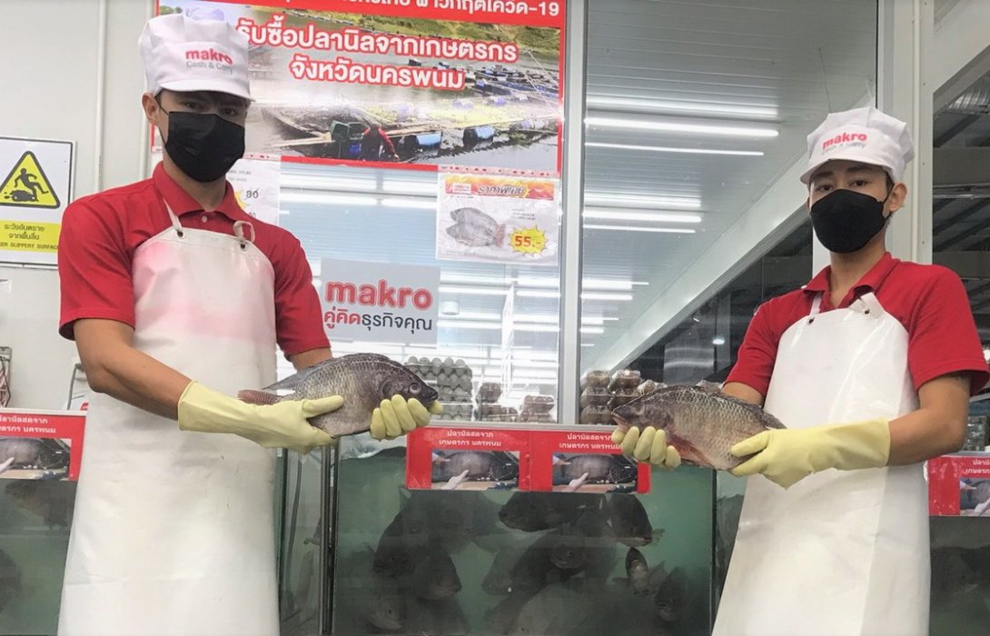 “แม็คโคร” รับซื้อปลานิล ช่วยชาวประมงนครพนมสู้วิกฤตโควิด ลดปัญหาราคาตกต่ำ 