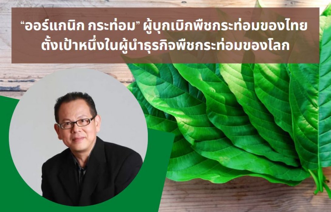 “ออร์แกนิก กระท่อม” ผู้บุกเบิกพืชกระท่อมของไทย ตั้งเป้าหนึ่งในผู้นำธุรกิจพืชกระท่อมของโลก