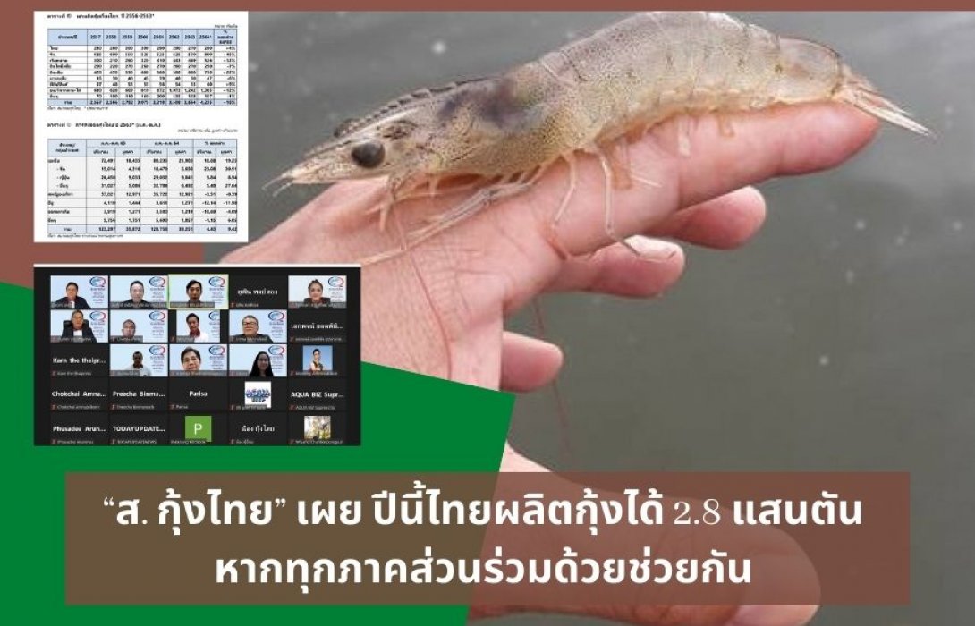 “ส. กุ้งไทย” เผย ปีนี้ไทยผลิตกุ้งได้ 2.8 แสนตัน  หากทุกภาคส่วนร่วมด้วย หนทางความอยู่รอดของอุตสาหกรรมกุ้งไทยอย่างยั่งยืน  