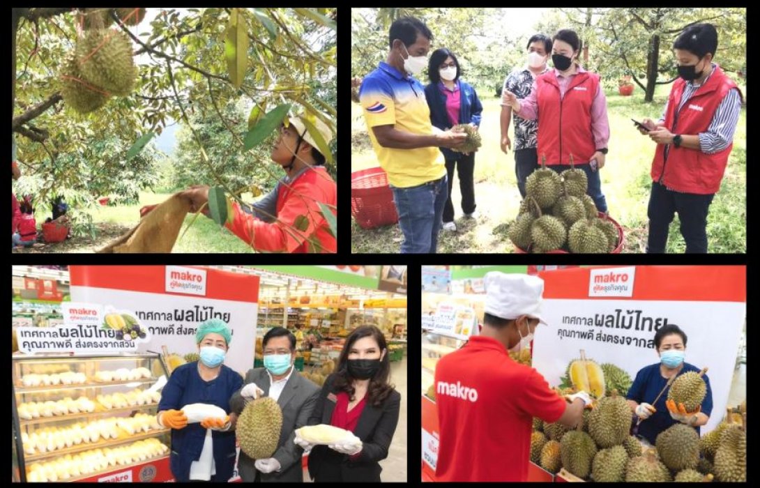 หนุนชาวสวนทุเรียนยิ้ม “แม็คโคร” จับมือ “กระทรวงเกษตรฯ-กระทรวงพาณิชย์” เปิดพื้นที่ให้เกษตรกรจำหน่ายตรง 135 สาขา ตั้งเป้ารับซื้อ 1,500,000 กิโลกรัม เพิ่มจากเดิม 5 เท่าตัว