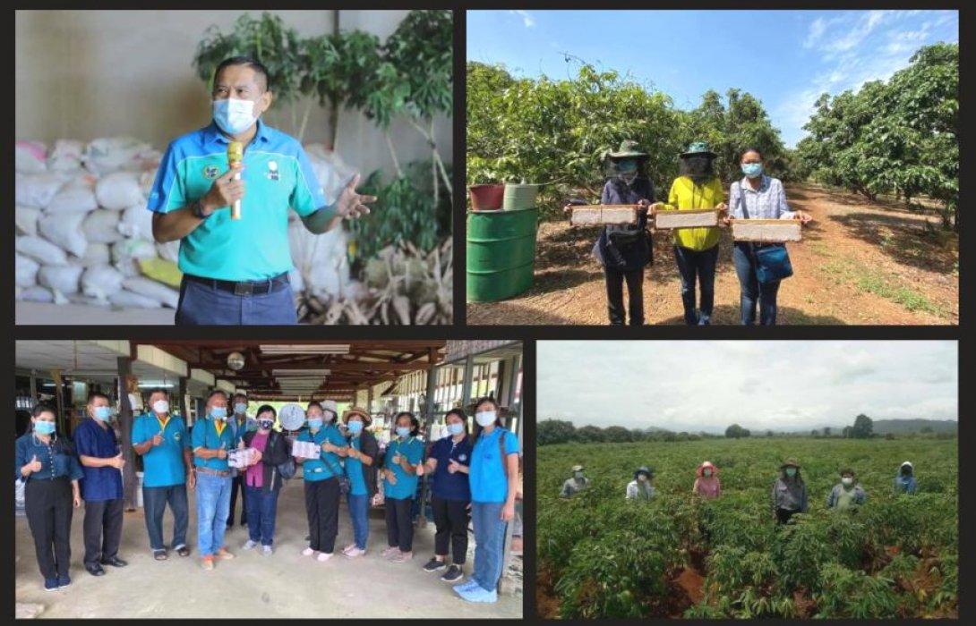 “กรมส่งเสริมการเกษตร” โชว์ผลสัมฤทธิ์ 6 ปี เกษตรแบบแปลงใหญ่ ลดต้นทุน เพิ่มผลผลิต