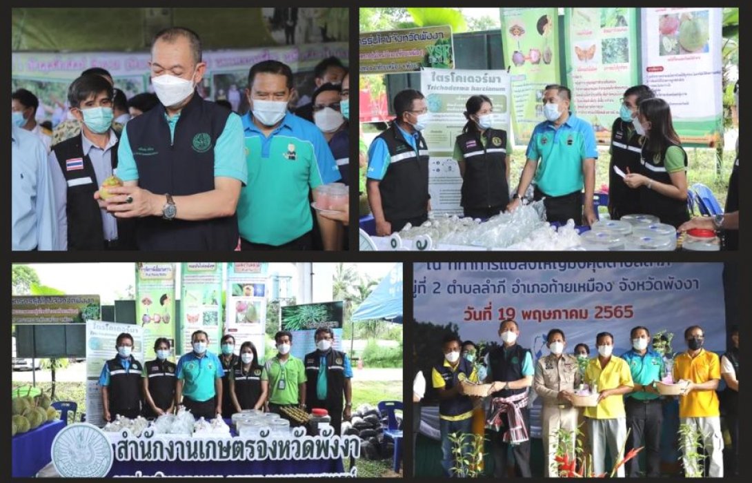 “เฉลิมชัย” โชว์ความสำเร็จแปลงใหญ่มังคุดตำบลลำภี ดีเด่นระดับจังหวัด ปี 65