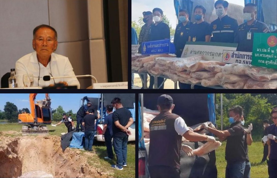 “เกษตรกร” จี้รัฐล้างบางหมูเถื่อน หวั่น ASF กระทบซ้ำการเลี้ยงที่เพิ่งฟื้นตัว เผยน้ำท่วมทำผู้เลี้ยงกระอักแบกต้นทุนสูง