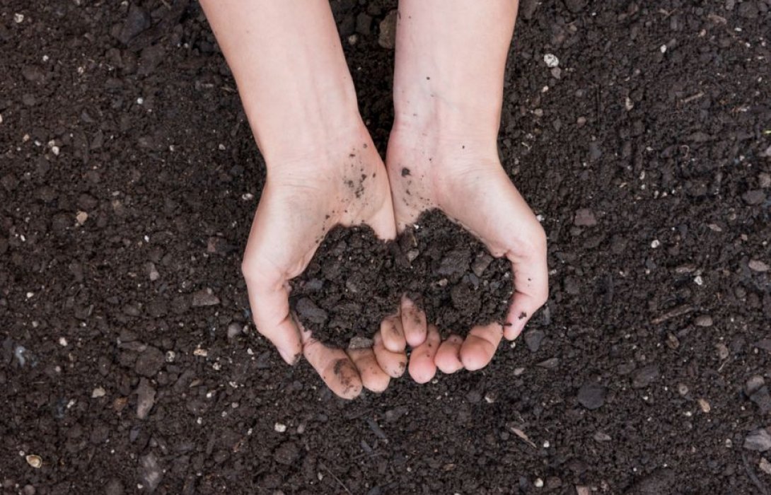 ตรวจดินก่อนปลูก ช่วยเพิ่มผลผลิตได้จริงไหม ?