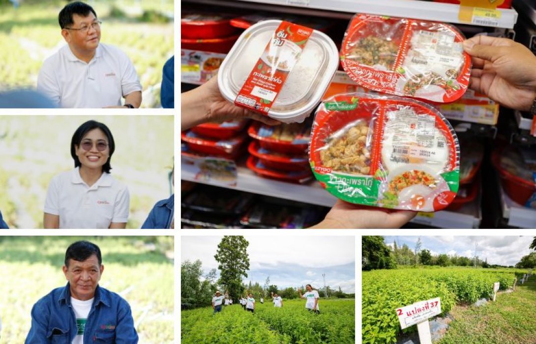 เบื้องหลังความอร่อยข้าวกล่องพร้อมทานถาดสีแดงซีพีแรมใน 7-Eleven: เจาะลึกข้าวกะเพราซีพีแรม จากการวิจัยสายพันธุ์ “กะเพราป่า” สู่การพัฒนาความมั่นคง-ความยั่งยืนทางอาหาร ยกระดับคุณภาพชีวิตเกษตรกรไทย