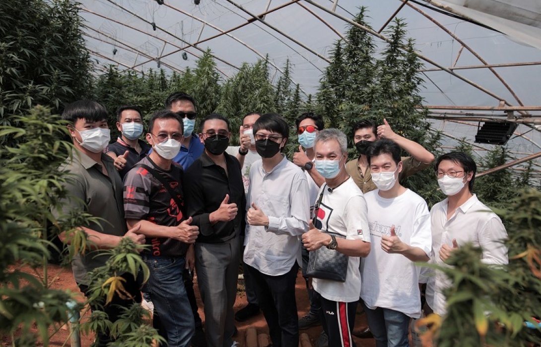 ต้อนรับสื่อมวลชนเยี่ยมไร่กัญชง  