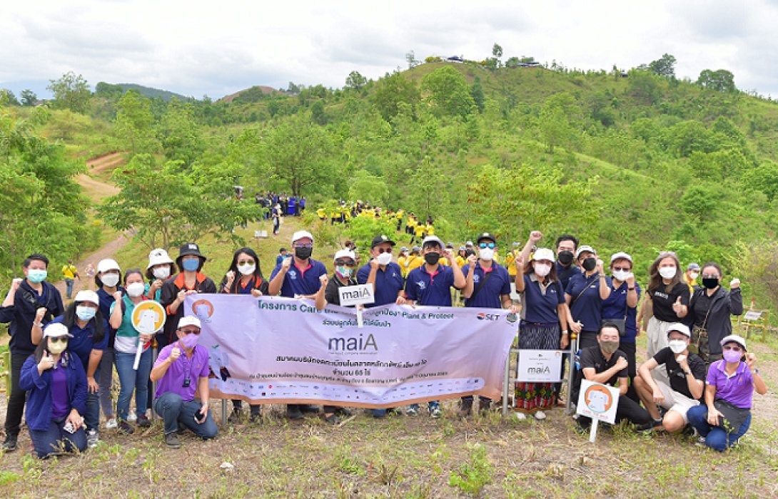 สมาคม maiA ร่วมคืนผืนป่า