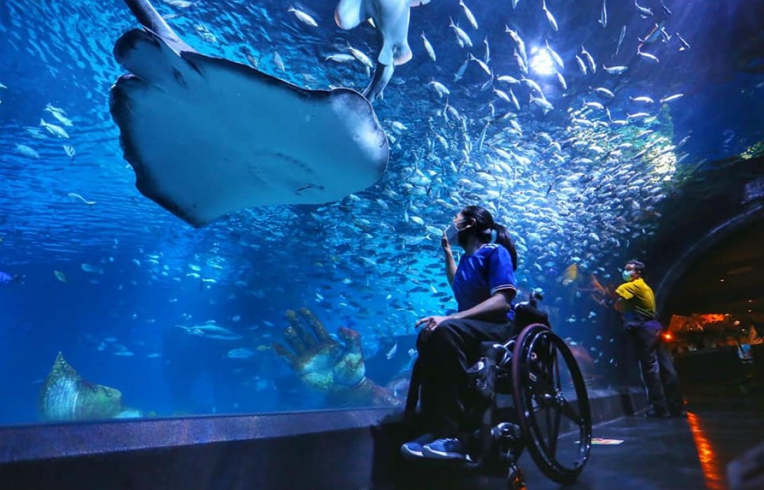 ทัพฮีโร่พาราไทยประทับใจ