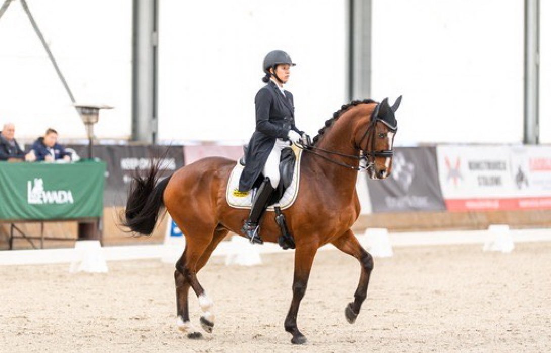 ต่างชาติฮือฮา! 