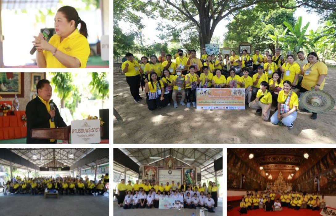 ทิพยประกันภัย สานต่อแนวคิดจิตอาสา พาเรียนรู้วิถีพอเพียง ร่วมดำนาในผืนนาประวัติศาสตร์ ณ ศูนย์ต้นแบบเพื่อนพึ่ง (ภาฯ) จ.อ่างทอง