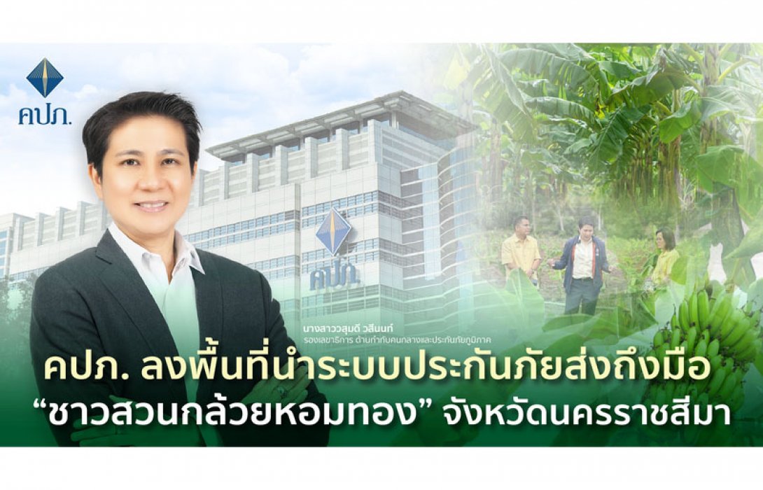 คปภ. ลงพื้นที่นำระบบประกันภัยส่งถึงมือ “ชาวสวนกล้วยหอมทอง” จังหวัดนครราชสีมา