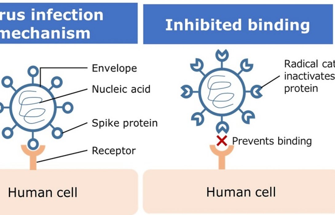 นิสสัน ร่วมพัฒนาเทคโนโลยีช่วยยับยั้งการเจริญเติบโตของเชื้อไวรัสด้วยวิธีการเร่งปฏิกิริยาออกซิเดชัน