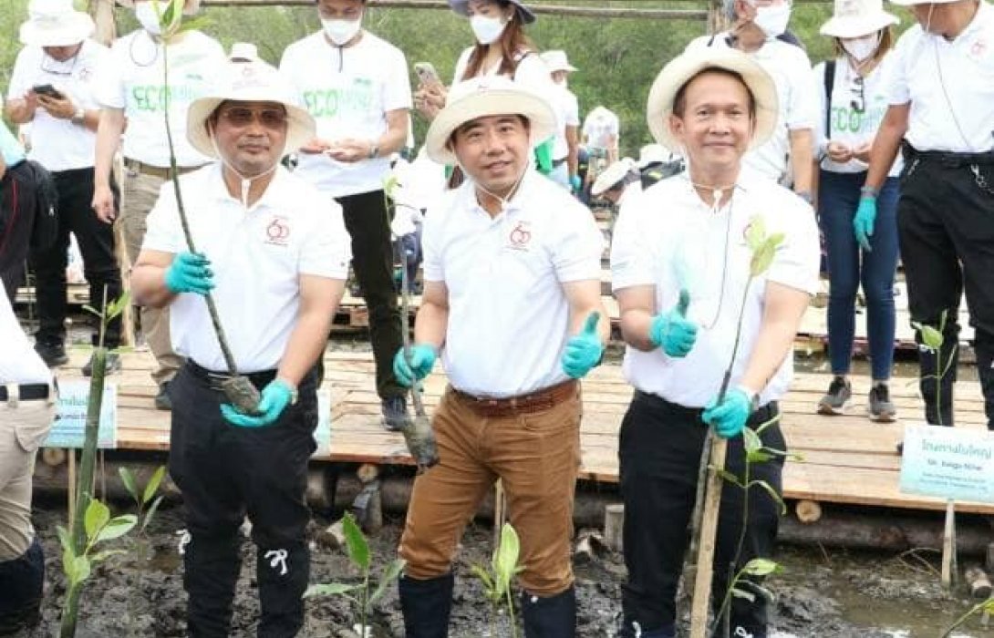 โตโยต้า ปลูกป่าชายเลน 60,000 ต้นต่อยอดโครงการ โตโยต้า60 ปีปลูกป่า 600,000 ต้น