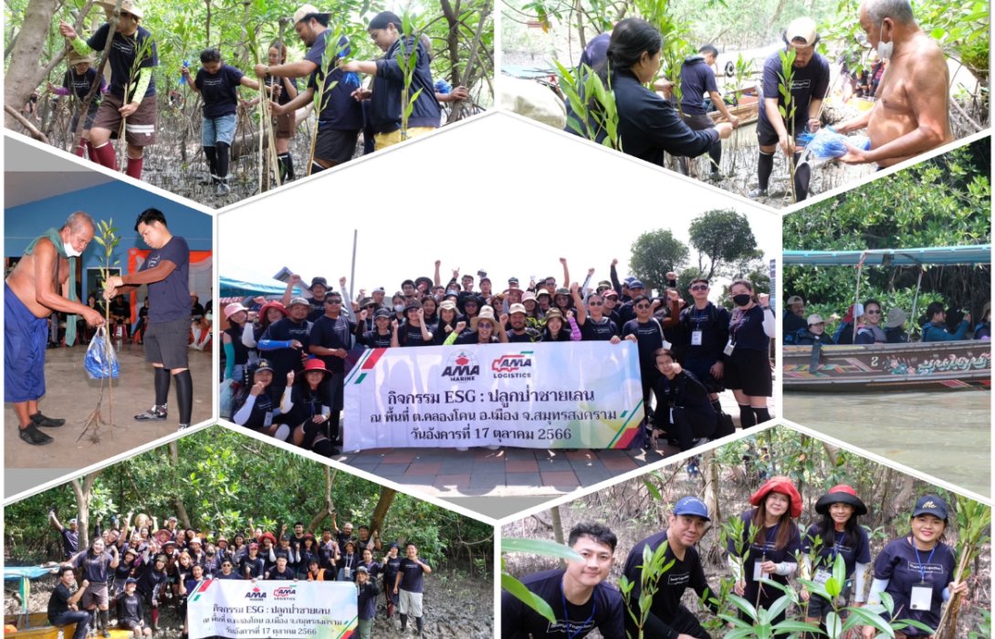AMA ร่วมกับ AMAL จัดกิจกรรม ESG ปลูกป่าชายเลน อนุรักษ์ทรัพยากรธรรมชาติและสิ่งแวดล้อม