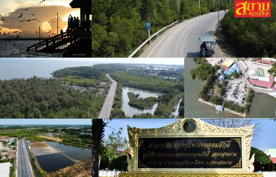 กรมทางหลวงชนบท ชวนรับลมชมนกนางนวล พร้อมเช็คอินที่ดอนหอยหลอดและสักการบูชาศาลกรมหลวงชุมพรเขตอุดมศักดิ์ สถานที่ชื่อดัง บนถนนสาย สส.2003 จ.สมุทรสงคราม
