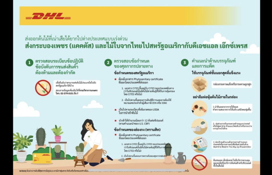 ดีเอชแอล เอ๊กซ์เพรส เปิดให้บริการส่งด่วนกระบองเพชรและไม้ใบจากประเทศไทยไปยังสหรัฐอเมริกาแล้ววันนี้