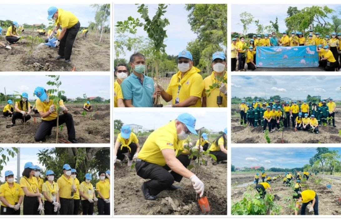สพพ.จัดกิจกรรมปลูกต้นไม้ขยายปอดเมืองกรุง เพื่อเฉลิมพระเกียรติในหลวง ร.10