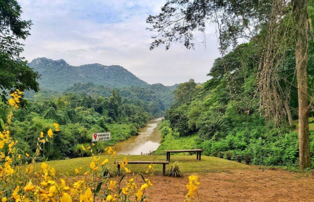 ศุภาลัย ป่าสัก รีสอร์ท แอนด์ สปา จ.สระบุรี มอบประสบการณ์การท่องเที่ยวรูปแบบใหม่!“อาบป่า” 