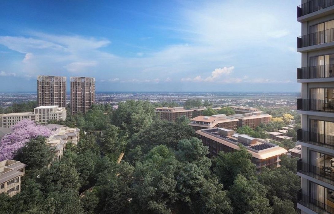  ‘เดอะ ฟอเรสเทียส์’ยอดขายเพิ่มสองเท่าใน3เดือนทะลุ13,000ล้านบาท