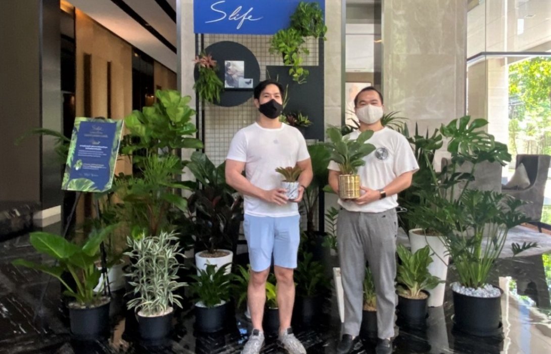 S Life เพิ่มความสดชื่นให้ลูกบ้าน เนรมิตสวนไม้ฟอกอากาศและไม้มงคลในคอนโด The ESSE